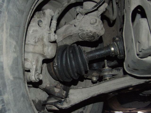 DSCF0842.jpg DSCF0842.jpg